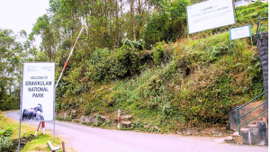  Eco Tourism in Eravikulam National Park – A Complete Guide to Responsible Travel in Munnar
