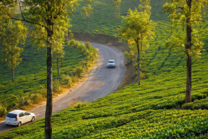 Best trekking season in Munnar September to March