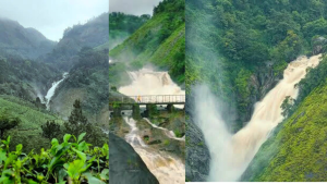Attukad Waterfalls Munnar – A Complete Travel Guide