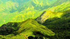 Best Things to Do at Echo Point & Top Station in Munnar