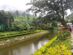 Blossom Park Munnar Flower Season View Best time to visit Blossom Park Munnar during peak flower bloom season
